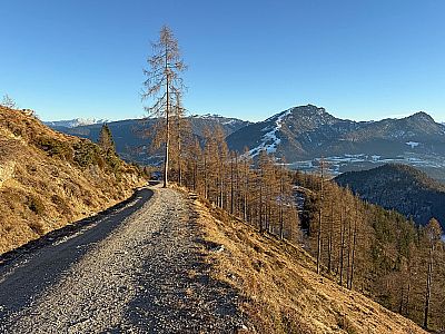 An der Alm biegen wir links in den Fahrweg ein...