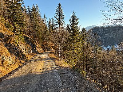 ...und bleiben somit auf dem breiten Fahrweg