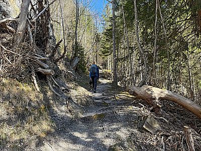 Der Steig wendet sich kurz darauf wieder nach Osten