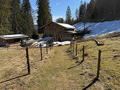 Blick zurück zur Glapfalm