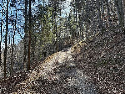 ...biegen wir zuerst links...