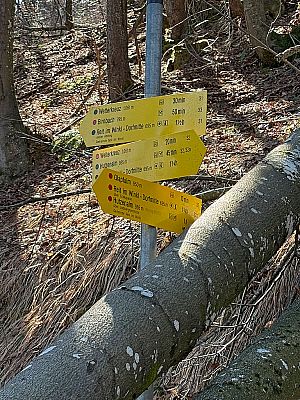 ...und am folgenden Querweg wieder rechts ab