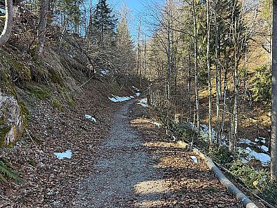 In moderater Steigung...