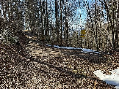 ...erreichen wir einen nächsten Abzweig...