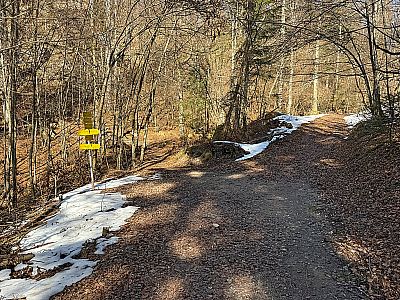 Auf dem Hinweg kehren wir zum Abzweig zurück...