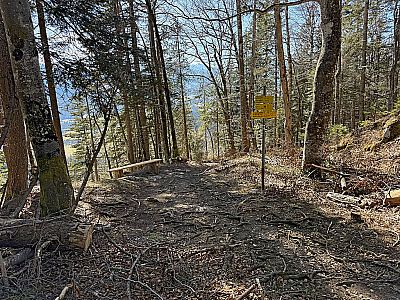 ...und erreichen eine Hochfläche mit einer Sitzbank