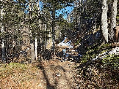 Diese verlassen wir nordostwärts...