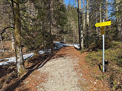 ...und biegen nach wenigen Metern links...