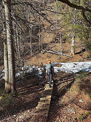 ...in einen Plankenweg ein