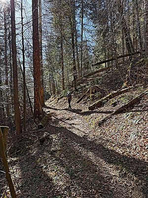 Im Anschluss queren wir die bewaldeten Hänge