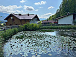 ...und erreichen den Seerosenteich