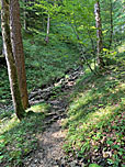 ...wandern wir zu einem Bachgraben
