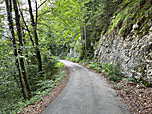 ...leitet uns in ein Waldstück hinein...