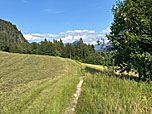 Ein Wiesenpfad...