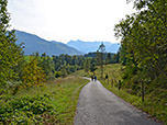 Der Abstiegsweg von der Hutzenalm nach Reit im Winkl