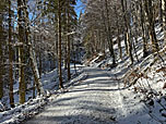...leitet uns die Forststraße nordwestwärts