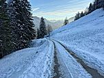 Von der Hutzenalm folgen wir dem Teerweg...