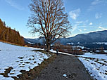 ...schlagen wir einen Karrenweg ein...
