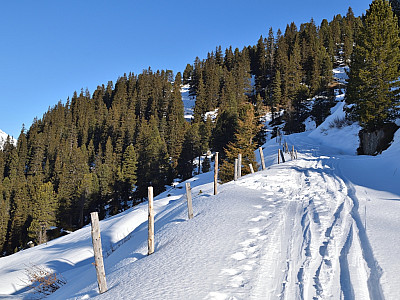 Aufgrund der Schneeverhältnisse  bleiben wir auf dem Wirtschaftsweg
