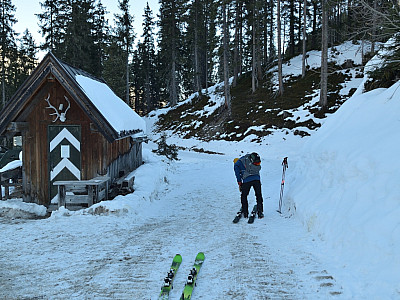 ...biegen wir nach links auf eine Forststraße ab.
