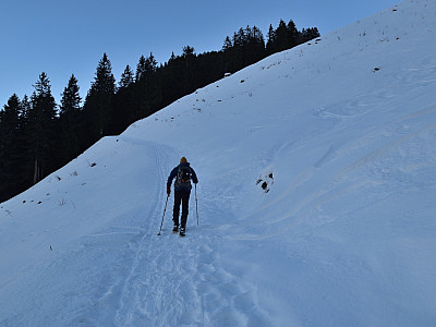 Wir verlieren nur wenige Höhenmeter, bevor wir auf die Hänge unterhalb des Keglalm Mittellegers treffen