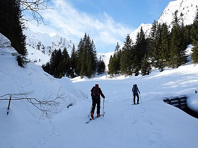 ...führt uns durch den Wald zum Allrissbach