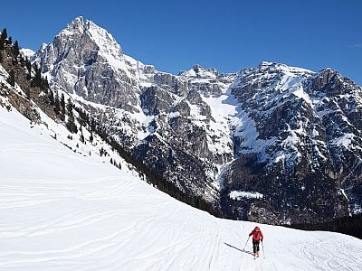 Hinter uns präsentiert sich die mächtige Südwand des Pflerscher Tribulauns