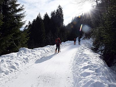 Bequem überwinden wir die ersten Höhenmeter auf dem Weg zur Allrissalm