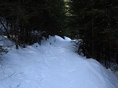 ... biegen rechts in den Wald ein...
