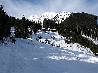 .... und können den Aufstieg zur Allrissalm etwas verkürzen.