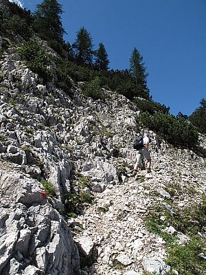 Über schrofiges Gelände abwechselnd gehend...