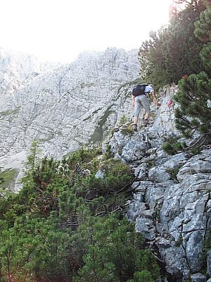 ...und abwechselnd kraxelnd