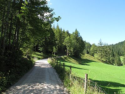 Über einen breiten Weg...