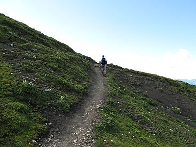 ...folgt der Gemsanger
