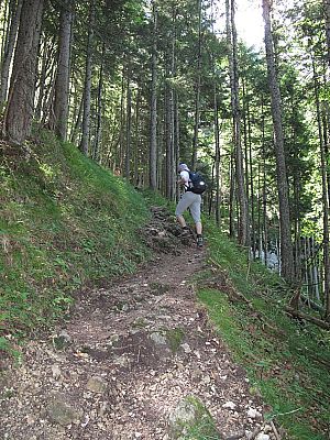 Durch schattigen Wald...