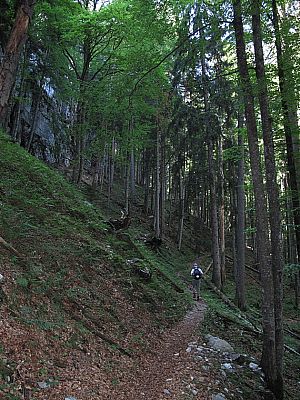 ...entlang der Ferchenseewände