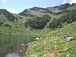 Am Wildsee