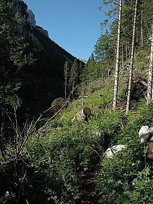 durch die Einsamkeit.