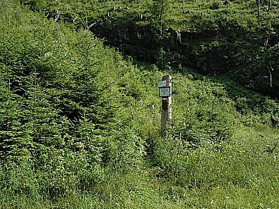 Hier sind wir beim ...