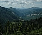 Blick ins Baumtal und zum Steinalpl,  im Hintergrund der Ötscher (1893m 36km)