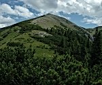 Amaißbichl (1828 m)