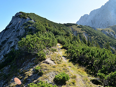 Unser erster Gipfel, der Steinkarkopf ist gleich erreicht