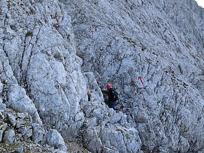 ... bevor es durch einen Pfeil markiert ...