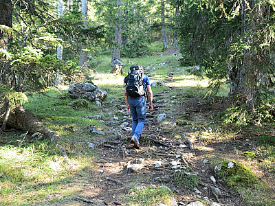 Der Steig führt steil durch den Wald 