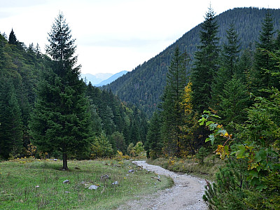 Der Weg wird breiter, bleibt aber steil