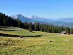 Die Rehbergalm mit dem Wettersteingebirge im Hintergrund