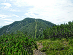 Blick zum Zäunlkopf, unserem heutigen höchsten Punkt