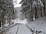 ...und wandern über Forstwege hinunter nach Hammer