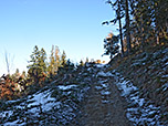 ...und leitet uns aus dem Wald hinaus