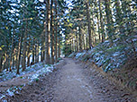 ...und folgen einem Karrenweg steil bergauf